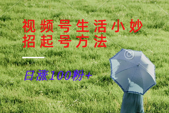 视频号生活小妙招分享赛道， 起号涨粉新方法，日涨100粉-创学资源站