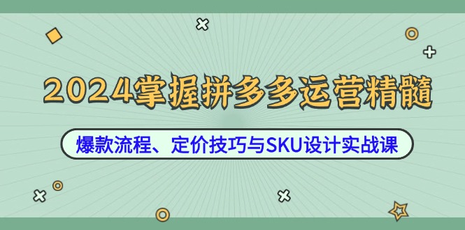 2024掌握拼多多运营精髓：爆款流程、定价技巧与SKU设计实战课-创学资源站