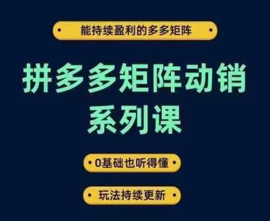 拼多多矩阵动销系列课，能持续盈利的多多矩阵，0基础也听得懂，玩法持续更新-创学资源站