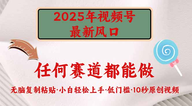 2025年视频号新风口，低门槛只需要无脑执行-创学资源站