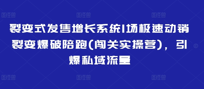 裂变式发售增长系统1场极速动销裂变爆破陪跑(闯关实操营)，引爆私域流量-创学资源站