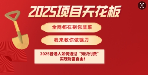 2025项目天花板普通人如何通过知识付费，实现财F自由【揭秘】-创学资源站