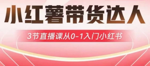 小红薯达人带货启航计划，3节直播课从0-1入门小红书-创学资源站