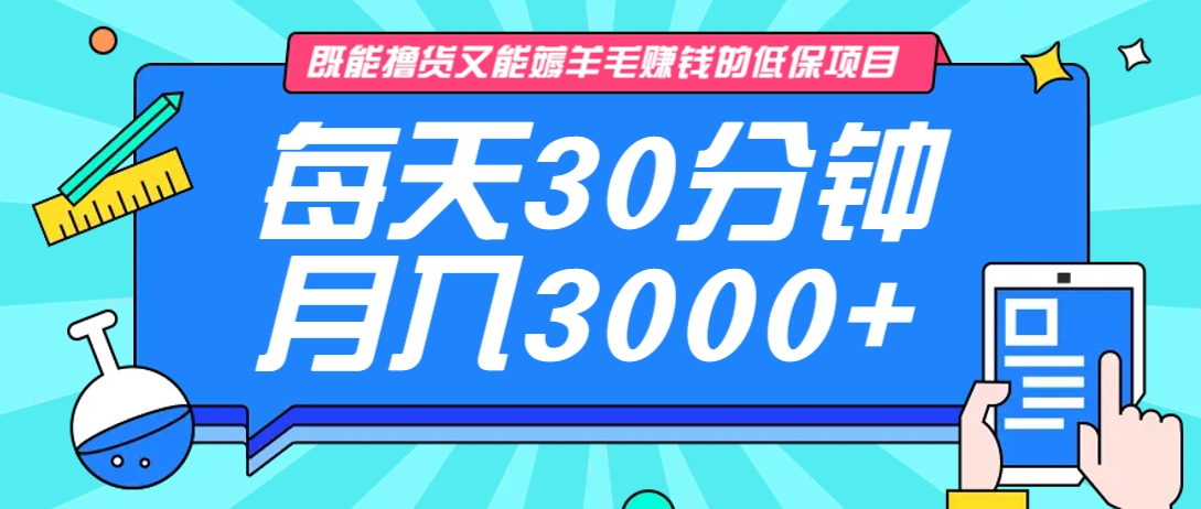 既能撸货又能赚钱的长期低保项目，每天30分钟，多号百分百稳定月入3000+！-创学资源站