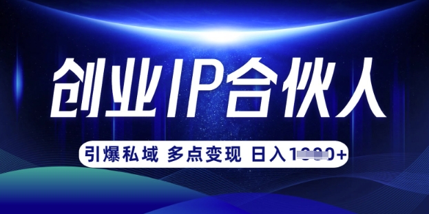云帆·创业ip合伙人打造3.0，从0到1教你做网创，实现月入过W-创学资源站