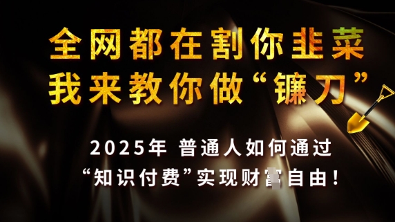 全网都在割你韭菜，我来教你做镰刀，2025普通人如何通过知识付费，实现财F自由【揭秘】-创学资源站