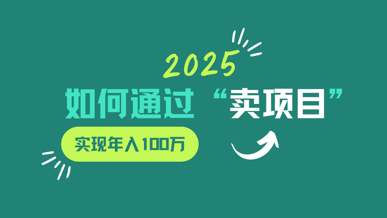 2025年如何通过“卖项目”实现年入100w-创学资源站