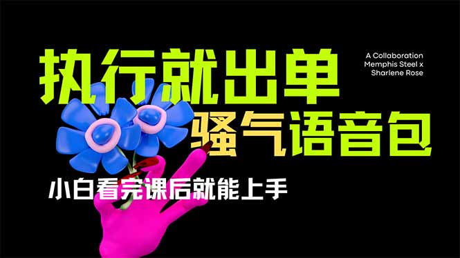 爆火全网的开车导航骚气语音包,只要执行就出单，小白看完课程就能实操…-创学资源站