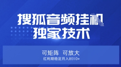 【搜狐音频挂G】独家技术，可矩阵可放大，红利期稳定月入8k【揭秘】-创学资源站