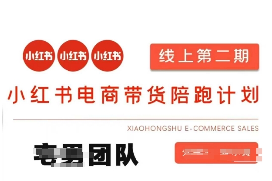 小红书电商带货课2期，月利润20个的小红书电商的有货源，无货源，虚拟产品，付费投流等整套玩法-创学资源站