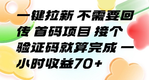 一键拉新 不需要回传 首码项目 接个验证码就算完成 一小时收益70+【揭秘】-创学资源站