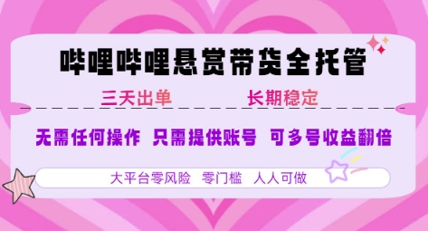 2025年B站风口带货项目 仅需提供账号 全程托管 轻松月入1w+-创学资源站