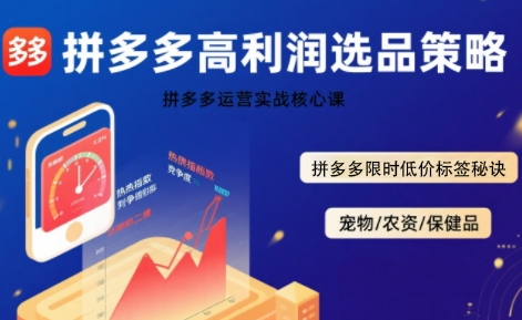 拼多多选品暴利技术实战课，拼多多高利润选品策略，拼多多限时低价标签秘诀-创学资源站