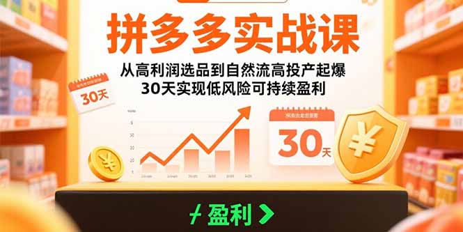 拼多多实战课：从高利润选品到自然流高投产起爆 30天实现低风险可持续盈利-创学资源站