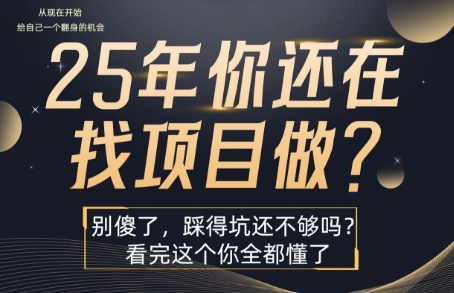 25年，你还在疯狂的找项目吗？别傻了，看完这个你都懂了【揭秘】-创学资源站