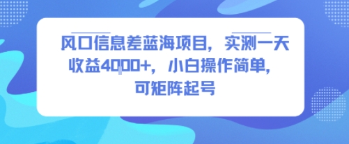 风口信息差蓝海项目，实测一天收益4k+，小白操作简单，可矩阵起号-创学资源站