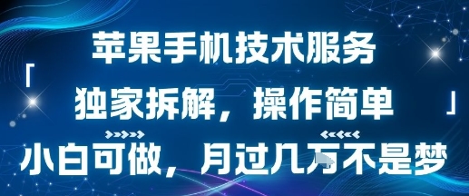 苹果手机技术服务，独家拆解，操作简单，小白可做，月过1W不是梦-创学资源站