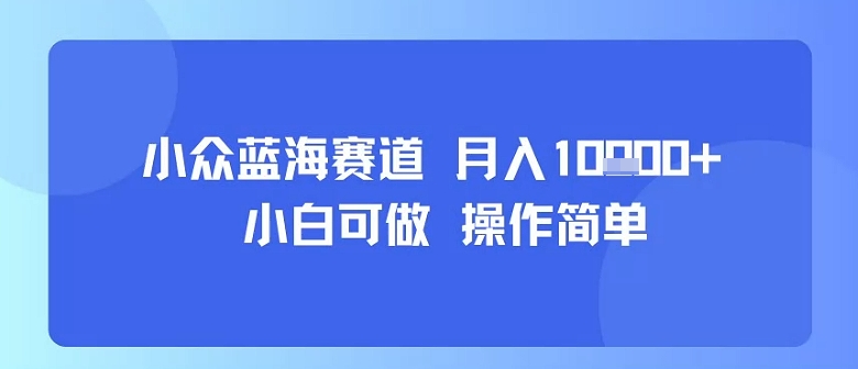 小众蓝海赛道，小白可做，操作简单，每天30分钟，月入1W+-创学资源站