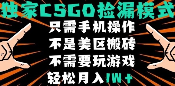 CSGO自动捡漏项目，最新独家玩法，不是美区搬砖，不需要了解和玩游戏，新手小白轻松月入1W+【揭秘】-创学资源站
