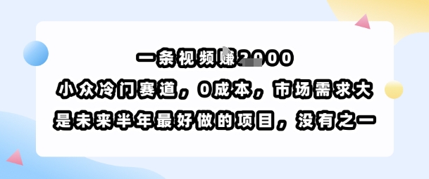 一条视频挣1k，小众冷门赛道，0成本，市场需求大，是未来半年最好做的项目，没有之一-创学资源站