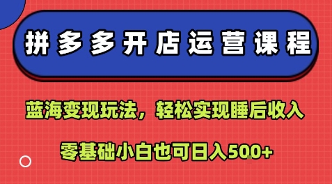 拼多多开店运营课程：蓝海变现玩法，轻松实现睡后收入，零基础小白也可日入5张-创学资源站