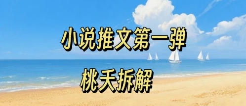 小说推文项目操作全流程第一弹，0粉就能做，门槛低非常适合新手-创学资源站