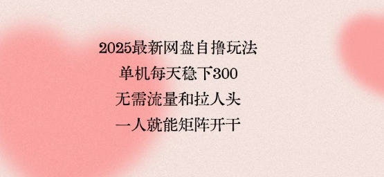 2025最新网盘自撸玩法，单机每天稳下3张，无需流量和拉人头，一个人就可轻松矩阵，全网独一份【揭秘】-创学资源站