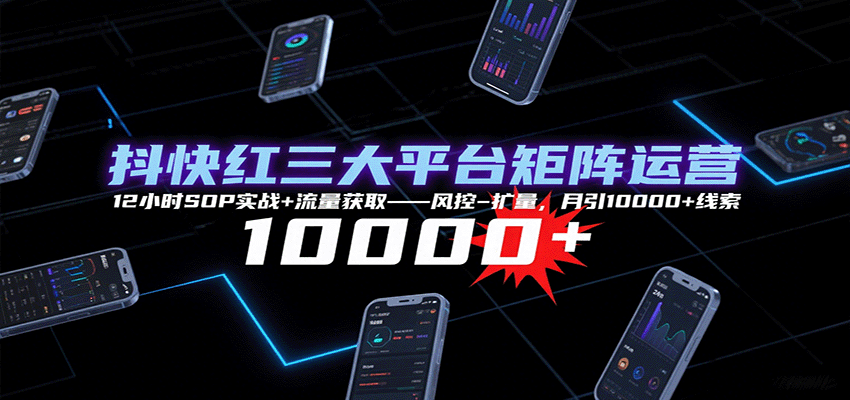 抖快红三大平台矩阵运营，12小时SOP实战+流量获取-风控-扩量，月引10000+线索-创学资源站