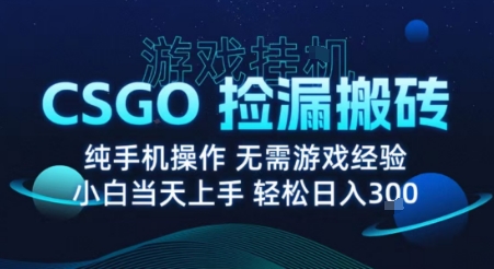 8月最新游戏搬砖，CSGO纯挂G，不需要玩游戏，实现真挂G，月入1W+【揭秘】-创学资源站