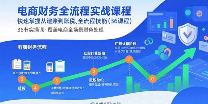 电商财务全流程实战课程：快速掌握从建账到报税的全流程技能(36节课-创学资源站