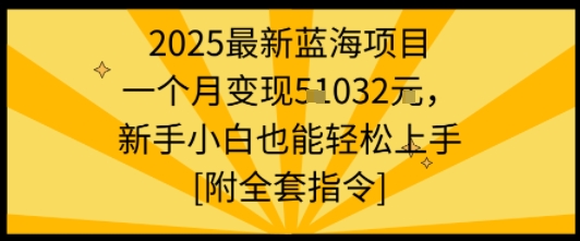 2025最新蓝海项目一个月变现1w+新手小白也能轻松上手【附全套指令】-创学资源站