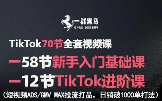 TikTok全套视频课，新手入门+进阶课，短视频ADS-GMV MAX投流打品，日销破1000单打法-创学资源站