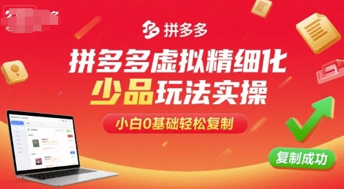 拼多多虚拟精细化少品玩法实操，小白0基础轻松复制-创学资源站