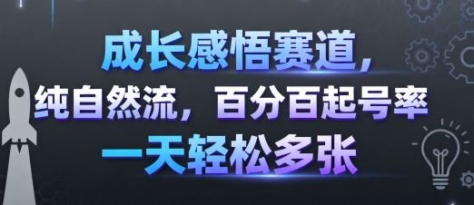 成长感悟赛道，纯自然流，百分百起号率 一天轻松多张-创学资源站