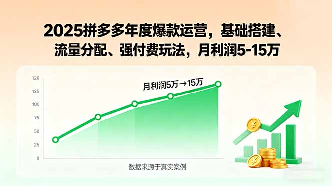 2025拼多多年度爆款运营，基础搭建、流量分配、强付费玩法，月利润5-15万-创学资源站