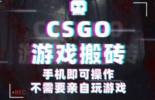 CSGO游戏挂G捡漏，单日扫货5张+，年底小高峰上车可吃肉，手机即可操作，兼职副业创业网创【揭秘】-创学资源站