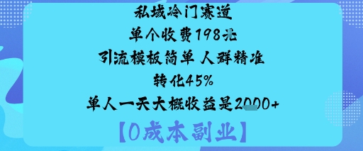私域冷门赛道:单个收费198米引流模板简单人群精准转化45%单人一天大概收益是1k+-创学资源站