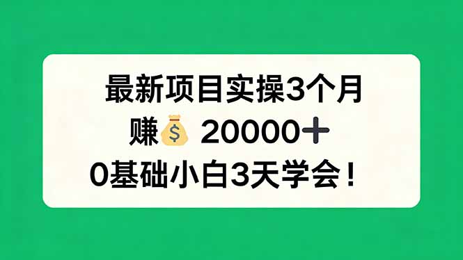 最新项目实操3个月，赚钱20000+，0基础小白3天学会！-创学资源站