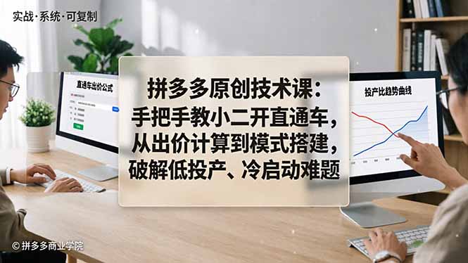 拼多多原创技术课：手把手教小二开直通车，从出价计算到模式搭建，破解低投产、冷启动难题-创学资源站