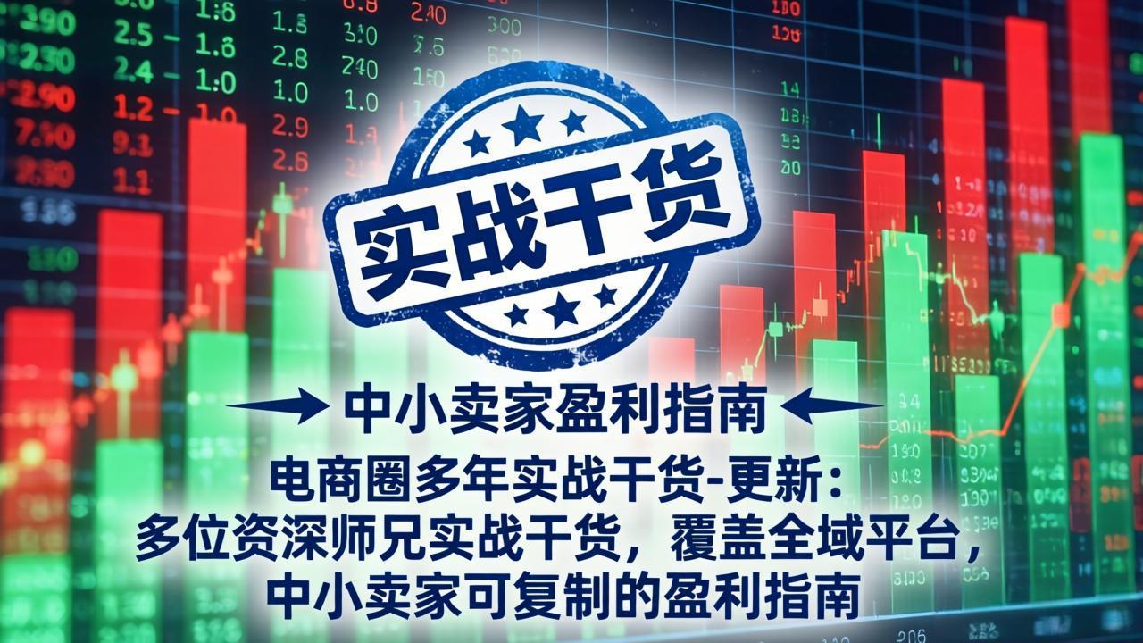 电商圈多年实战干货-更新5月10：多位资深师兄实战干货/覆盖全域平台，中小卖家可复制的盈利指南-创学资源站