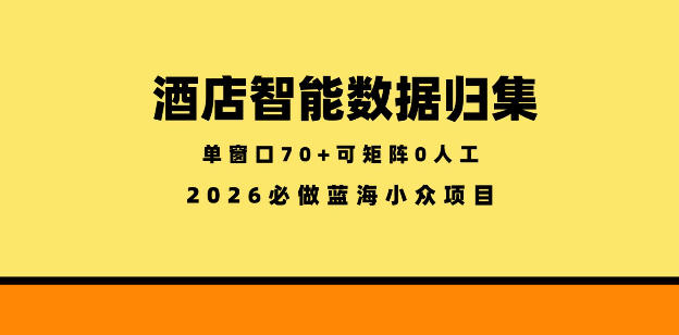 酒店智能数据归集，小众蓝海已经稳定半年之久，单窗口70+零成本矩阵开干【揭秘】-创学资源站