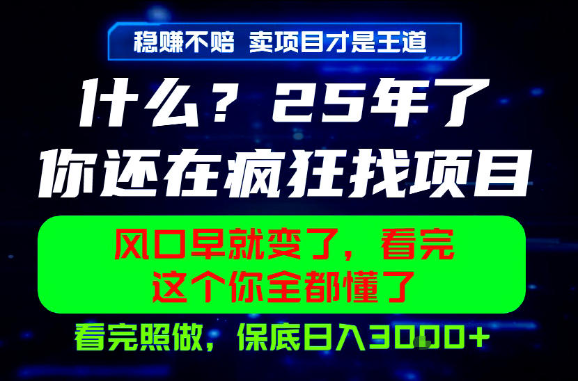 26年,请不要疯狂的找项目做了!卖项目才是真的稳賺不赔,看完照做,保底日入1k+【揭秘】-创学资源站