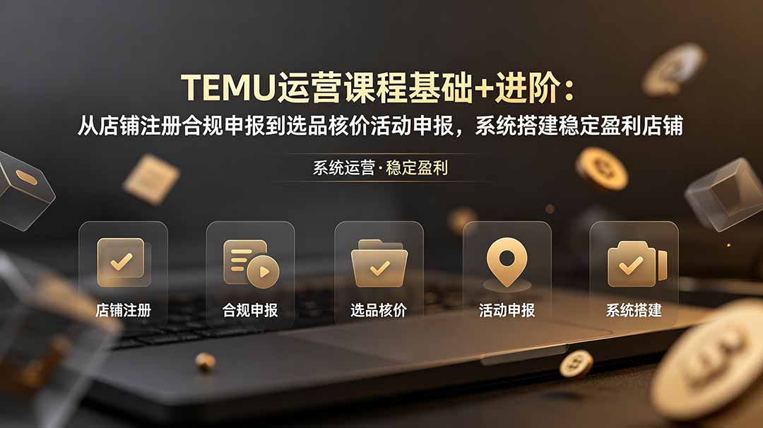 TEMU运营课程(基础+进阶-创学资源站