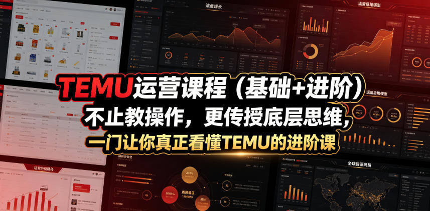 TEMU运营课程(基础+进阶)，不止教操作，更传授底层思维，一门让你真正看懂TEMU的进阶课-创学资源站