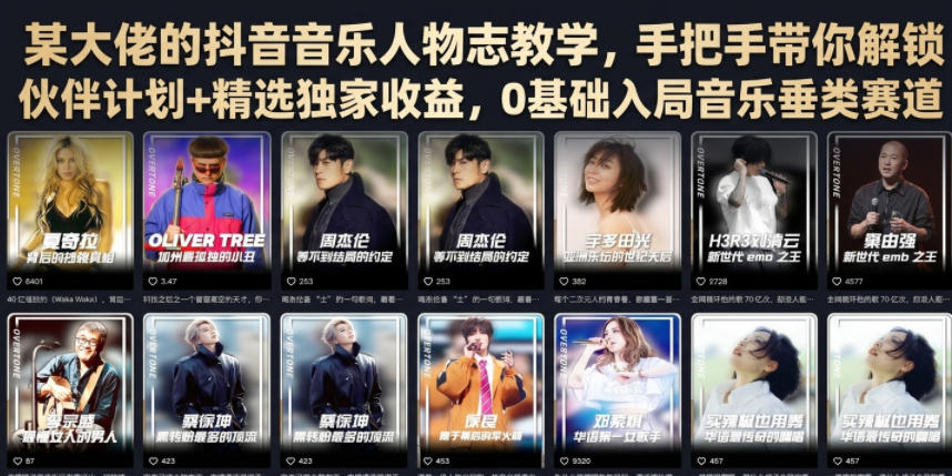 某大佬的抖音音乐人物志教学，手把手带你解锁伙伴计划+精选独家收益，0基础入局音乐垂类赛道-创学资源站