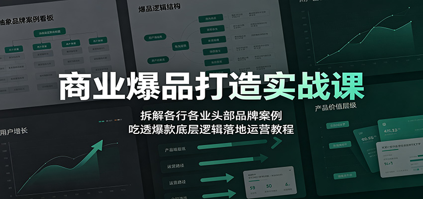 商业爆品打造实战课：拆解各行各业头部品牌案例，吃透爆款底层逻辑落地运营教程-创学资源站