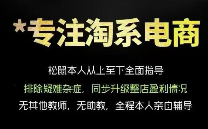 松鼠会电商VIP课程，从基础布局到高阶优化，助你掌握淘宝运营逻辑，提升店铺流量与转化(更新0809)-创学资源站