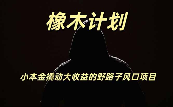 橡木计划，小投入撬动高回报的风口野路子项目，一天投入2小时左右-创学资源站