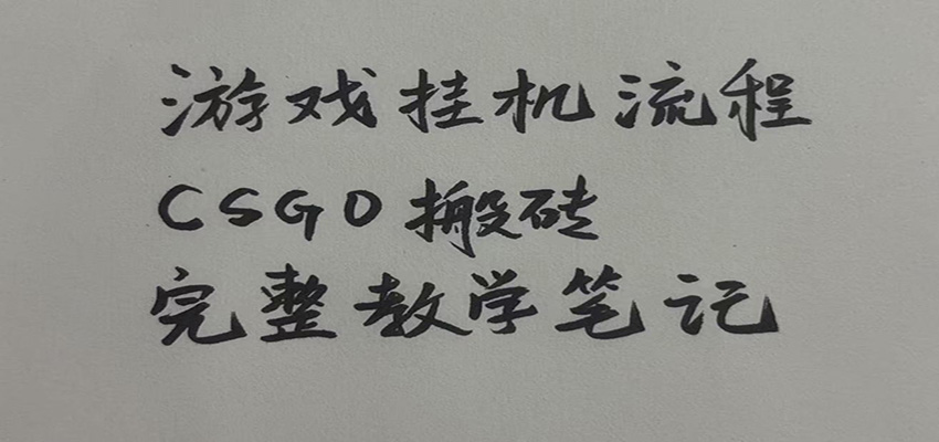 游戏挂机全流程笔记分享，CSGO游戏搬砖，小白看了当天学会见收益-创学资源站