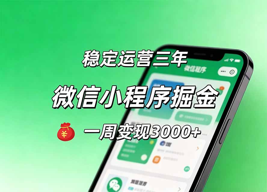 月收益稳定1W+的微信小程序，前期积累客户，后期躺平养老，小白轻松上手-创学资源站